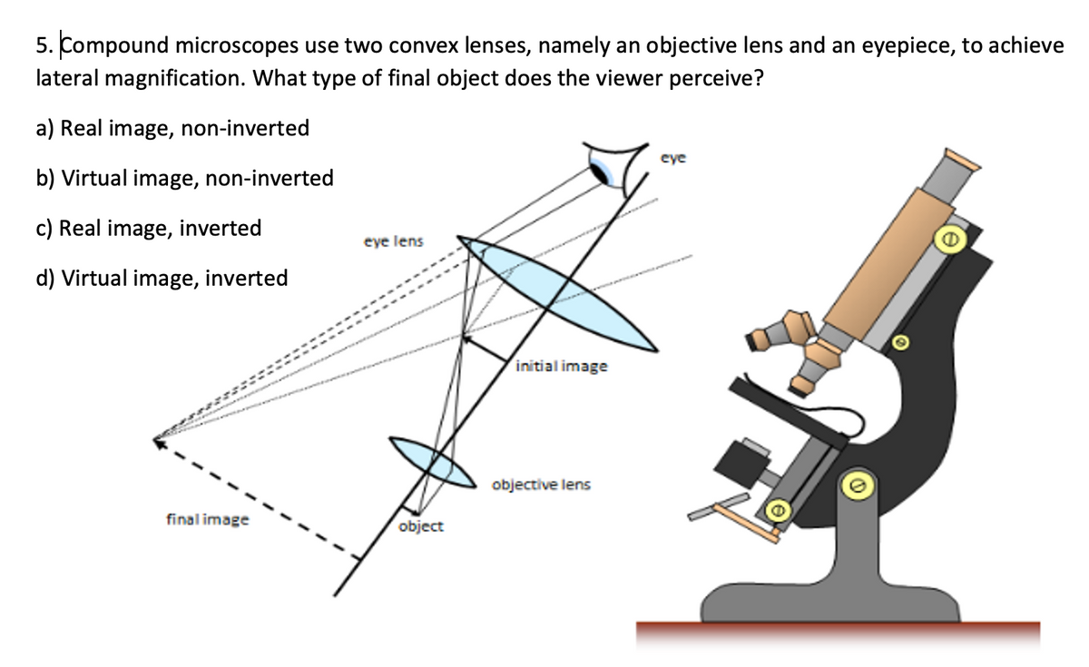 5. Compound microscopes use two convex lenses, namely an objective lens and an eyepiece, to achieve
lateral magnification. What type of final object does the viewer perceive?
a) Real image, non-inverted
eye
b) Virtual image, non-inverted
c) Real image, inverted
eye lens
d) Virtual image, inverted
initial image
objective lens
final image
object

