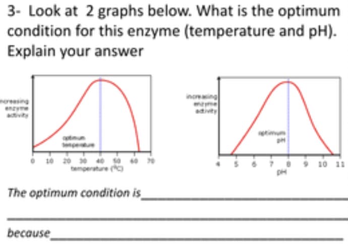3- Look at 2 graphs below. What is the optimum
condition for this enzyme (temperature and pH).
Explain your answer
mereasing
enzyme
tivity
inoresing
eme
ativity
timum
ptnu
enpee
6 10 20 40
temperature o
10 11
The optimum condition is
because
