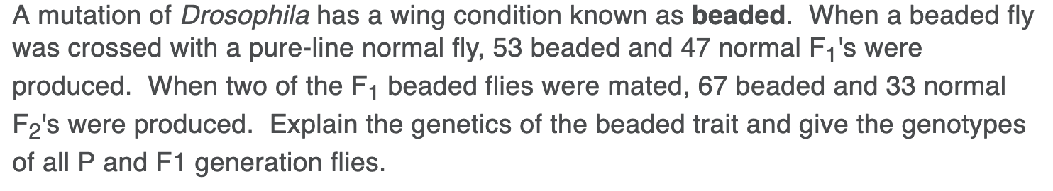 A mutation of Drosophila has a wing condition known as beaded. When a beaded fly
was crossed with a pure-line normal fly, 53 beaded and 47 normal F1 's were
produced. When two of the F, beaded flies were mated, 67 beaded and 33 normal
F2's were produced. Explain the genetics of the beaded trait and give the genotypes
of all P and F1 generation flies.
