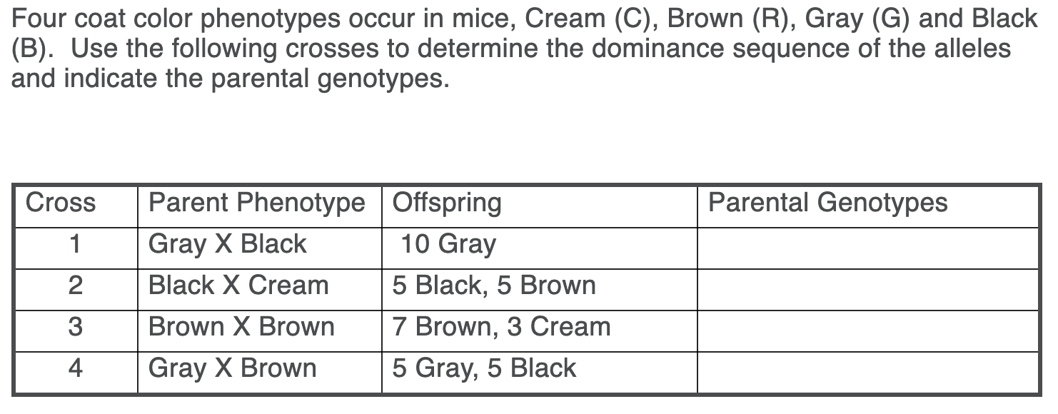 Four coat color phenotypes occur in mice, Cream (C), Brown (R), Gray (G) and Black
(B). Use the following crosses to determine the dominance sequence of the alleles
and indicate the parental genotypes.
Cross
Parent Phenotype |Offspring
Parental Genotypes
Gray X Black
10 Gray
2
Black X Cream
5 Black, 5 Brown
3
Brown X Brown
7 Brown, 3 Cream
4
Gray X Brown
5 Gray, 5 Black
