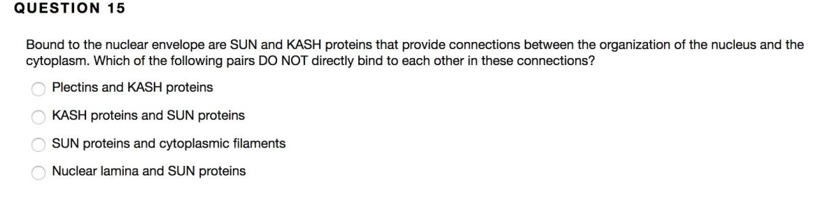 QUESTION 15
Bound to the nuclear envelope are SUN and KASH proteins that provide connections between the organization of the nucleus and the
cytoplasm. Which of the following pairs DO NOT directly bind to each other in these connections?
Plectins and KASH proteins
KASH proteins and SUN proteins
SUN proteins and cytoplasmic filaments
Nuclear lamina and SUN proteins
