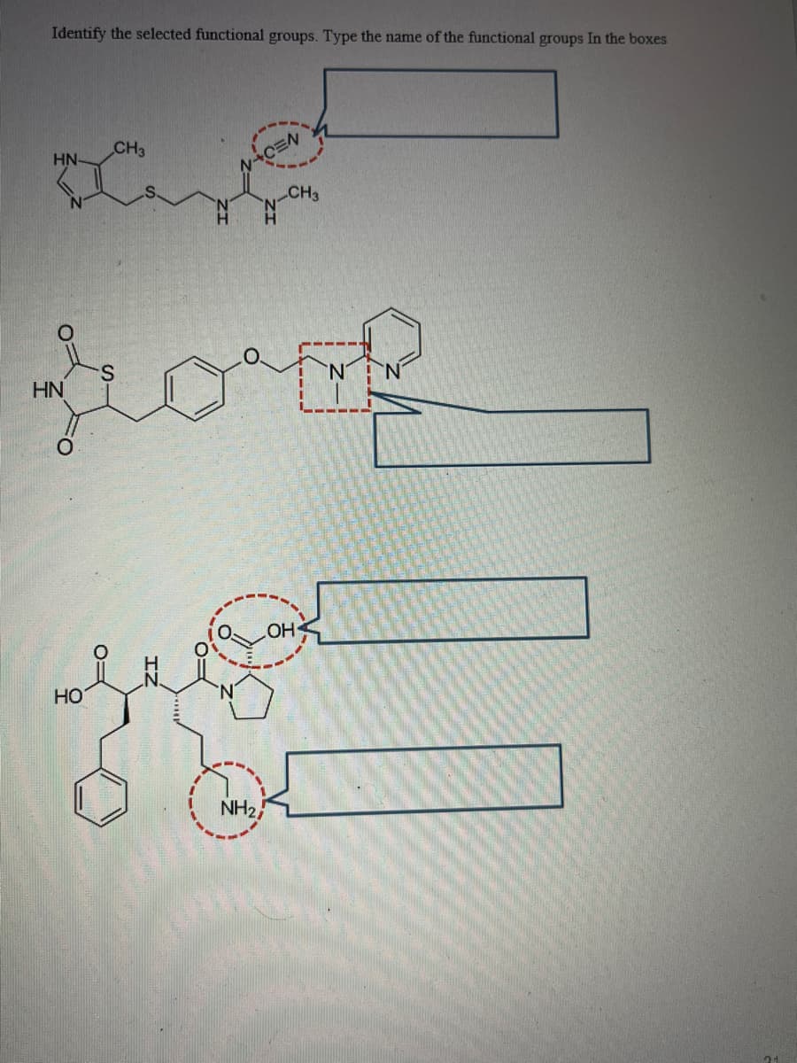 Identify the selected functional groups. Type the name of the functional groups In the boxes
Da
CH3
HN-
CH3
HN
O
HO
NH2,
OH