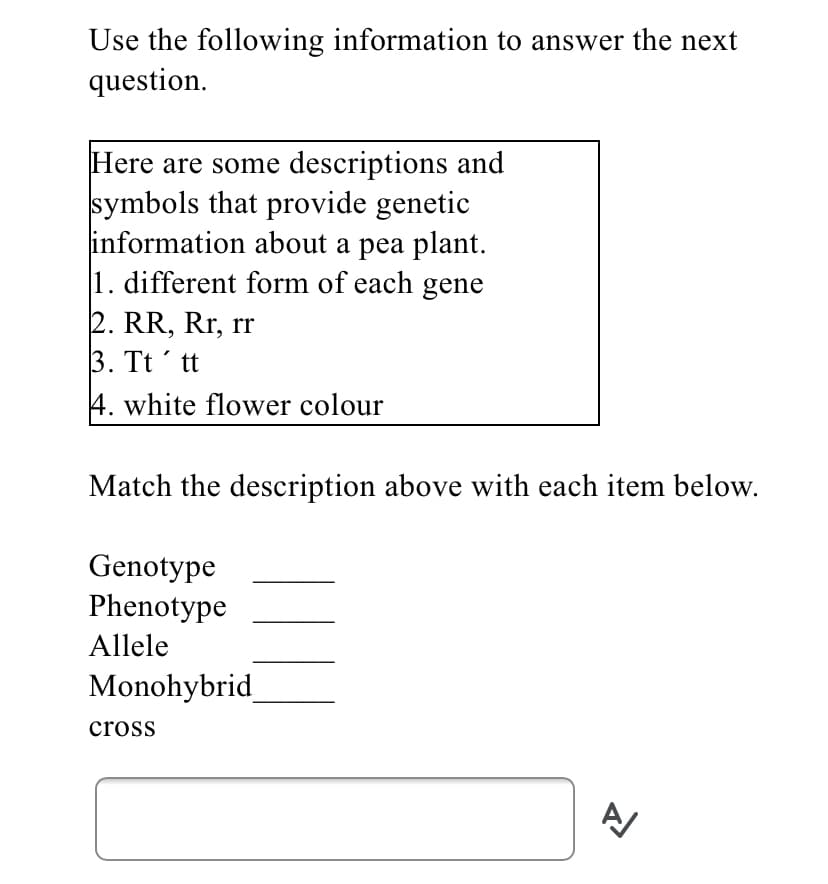 Use the following information to answer the next
question.
Here are some descriptions and
symbols that provide genetic
information about a pea plant.
1. different form of each gene
2. RR, Rr, rr
3. Tt´ tt
4. white flower colour
Match the description above with each item below.
Genotype
Phenotype
Allele
Monohybrid
cross
