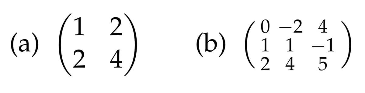 (a)
(2²)
4
(b)
4
(173)
245