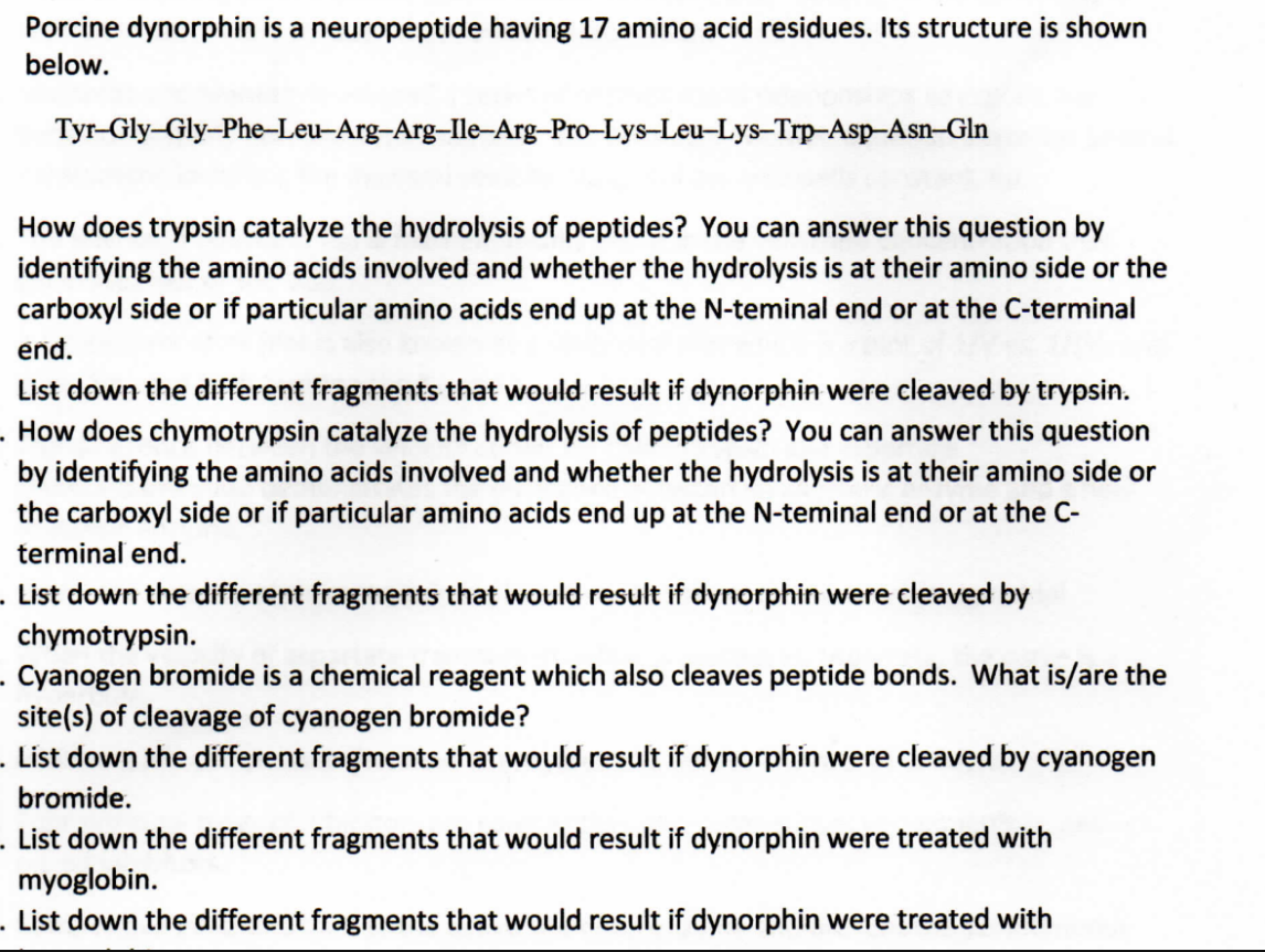 Porcine dynorphin is a neuropeptide having 17 amino acid residues. Its structure is shown
below.
Tyr-Gly-Gly-Phe-Leu-Arg-Arg-Ile-Arg-Pro-Lys-Leu-Lys-Trp-Asp-Asn-Gln
How does trypsin catalyze the hydrolysis of peptides? You can answer this question by
identifying the amino acids involved and whether the hydrolysis is at their amino side or the
carboxyl side or if particular amino acids end up at the N-teminal end or at the C-terminal
end.
List down the different fragments that would result if dynorphin were cleaved by trypsin.
. How does chymotrypsin catalyze the hydrolysis of peptides? You can answer this question
by identifying the amino acids involved and whether the hydrolysis is at their amino side or
the carboxyl side or if particular amino acids end up at the N-teminal end or at the C-
terminal end.
List down the different fragments that would result if dynorphin were cleaved by
chymotrypsin.
. Cyanogen bromide is a chemical reagent which also cleaves peptide bonds. What is/are the
site(s) of cleavage of cyanogen bromide?
. List down the different fragments that would result if dynorphin were cleaved by cyanogen
bromide.
. List down the different fragments that would result if dynorphin were treated with
myoglobin.
. List down the different fragments that would result if dynorphin were treated with
