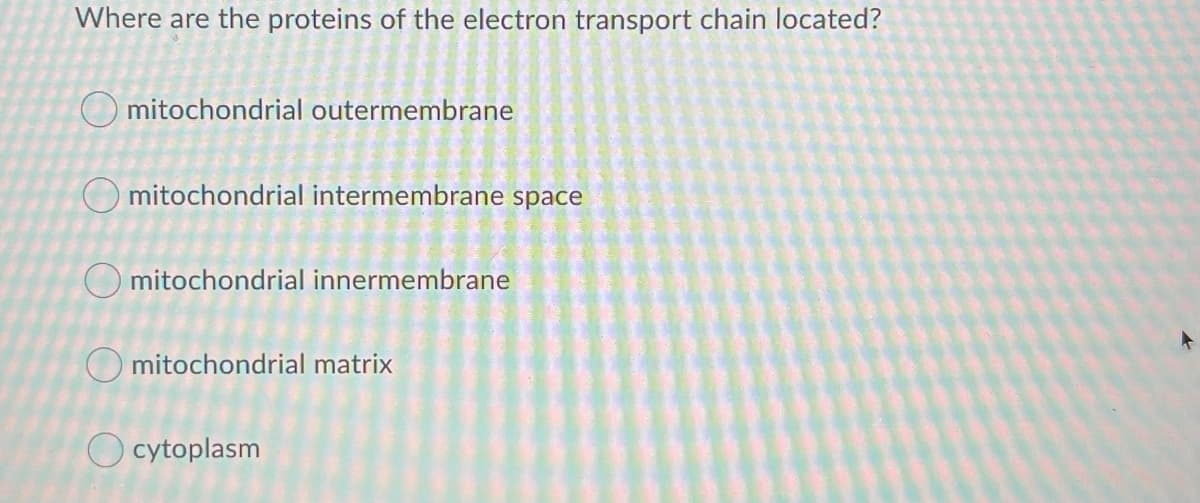 Where are the proteins of the electron transport chain located?
O mitochondrial outermembrane
O mitochondrial intermembrane space
O mitochondrial innermembrane
O mitochondrial matrix
O cytoplasm
