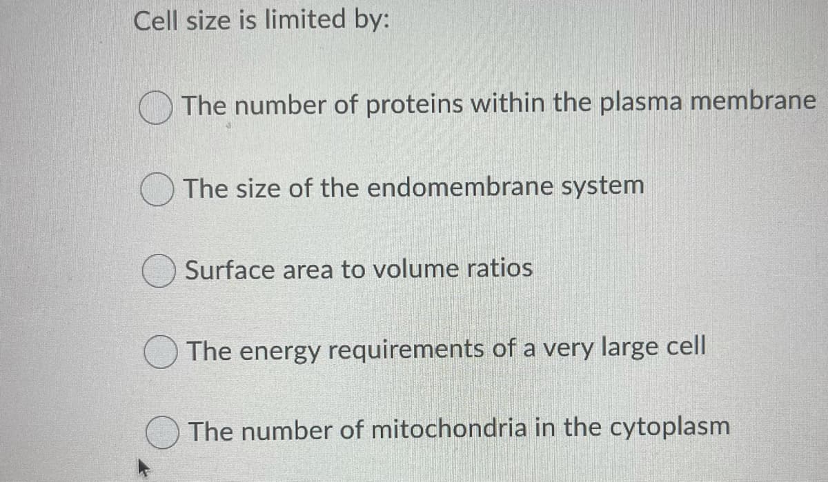 Cell size is limited by:
The number of proteins within the plasma membrane
The size of the endomembrane system
Surface area to volume ratios
The energy requirements of a very large cell
The number of mitochondria in the cytoplasm
