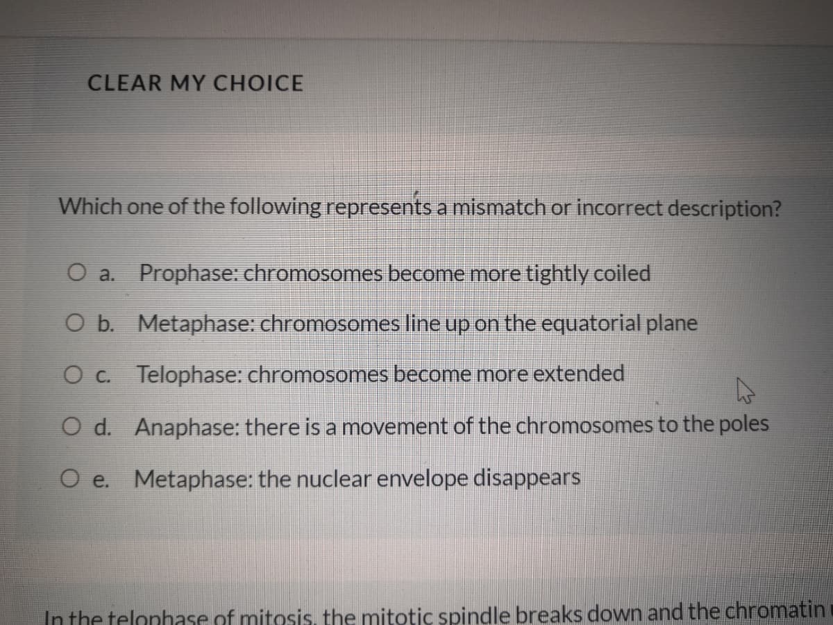 CLEAR MY CHOICE
Which one of the following represents a mismatch or incorrect description?
O a.
Prophase: chromosomes become more tightly coiled
O b. Metaphase: chromosomes line up on the equatorial plane
O c. Telophase: chromosomes become more extended
O d. Anaphase: there is a movement of the chromosomes to the poles
O e. Metaphase: the nuclear envelope disappears
In the telonhase of mitosis, the mitotic spindle breaks down and the chromatin
