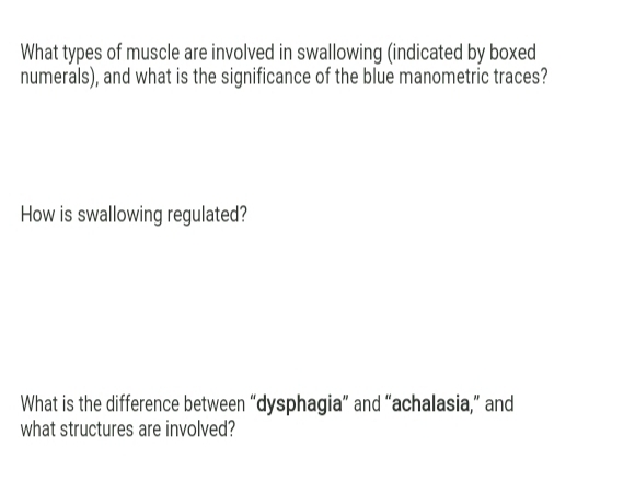 What types of muscle are involved in swallowing (indicated by boxed
numerals), and what is the significance of the blue manometric traces?
How is swallowing regulated?
What is the difference between "dysphagia" and "achalasia," and
what structures are involved?
