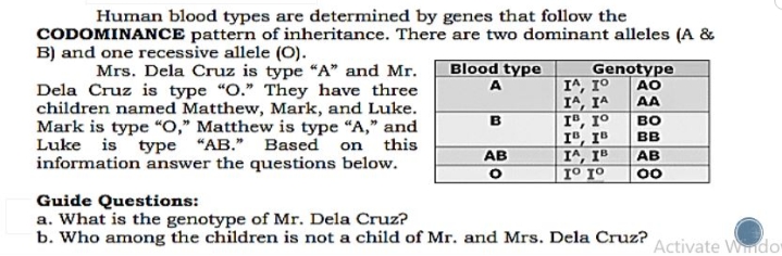 Human blood types are determined by genes that follow the
CODOMINANCE pattern of inheritance. There are two dominant alleles (A &
B) and one recessive allele (O).
Blood type
Mrs. Dela Cruz is type "A" and Mr.
Dela Cruz is type "O." They have three
children named Matthew, Mark, and Luke.
Mark is type “O," Matthew is type "A," and
Luke is type "AB." Based on this
information answer the questions below.
Genotype
I^, 10
IA, IA
Iº, 1°
I", IB
I^, IB
1º Iº
A
AO
AA
B
во
BB
AB
AB
00
Guide Questions:
a. What is the genotype of Mr. Dela Cruz?
b. Who among the children is not a child of Mr. and Mrs. Dela Cruz?
Activate Wndo
