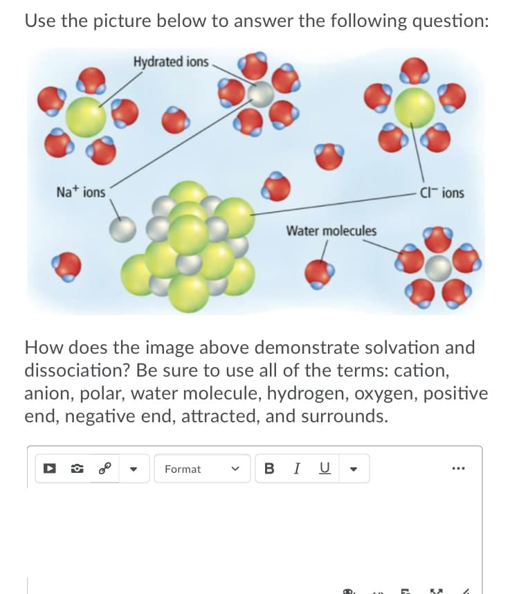 Use the picture below to answer the following question:
Hydrated ions
Nat ions
CI- ions
Water molecules
How does the image above demonstrate solvation and
dissociation? Be sure to use all of the terms: cation,
anion, polar, water molecule, hydrogen, oxygen, positive
end, negative end, attracted, and surrounds.
- B I U
Format
...
