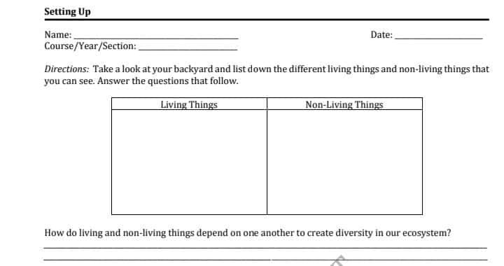 Setting Up
Name:
Date:
Course/Year/Section:
Directions: Take a look at your backyard and list down the different living things and non-living things that
you can see. Answer the questions that follow.
Living Things
Non-Living Things
How do living and non-living things depend on one another to create diversity in our ecosystem?
