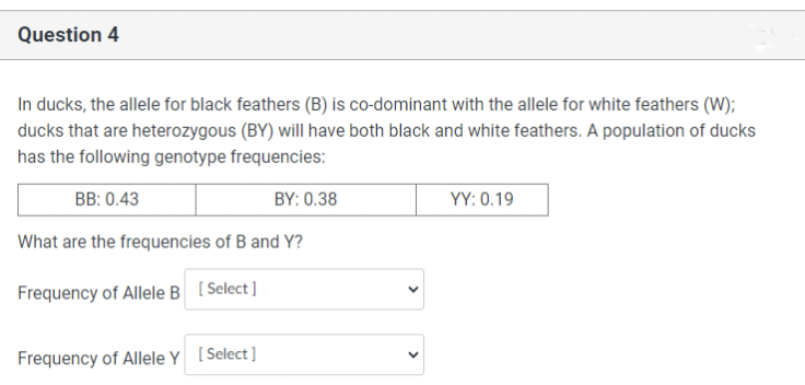 Question 4
In ducks, the allele for black feathers (B) is co-dominant with the allele for white feathers (W);
ducks that are heterozygous (BY) will have both black and white feathers. A population of ducks
has the following genotype frequencies:
BB: 0.43
BY: 0.38
YY: 0.19
What are the frequencies of B and Y?
Frequency of Allele B [Select]
Frequency of Allele Y [Select]