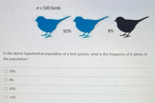 n= 100 birds
92%
8%
In the above hypothetical population of a bird species, what is the frequency of b alleles in
the population?
28%
8%
40%
O 16%
