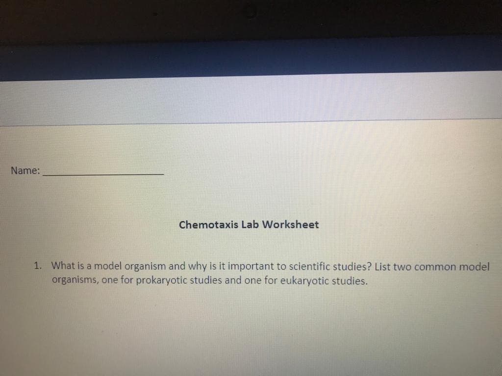 Name:
Chemotaxis Lab Worksheet
1. What is a model organism and why is it important to scientific studies? List two common model
organisms, one for prokaryotic studies and one for eukaryotic studies.
