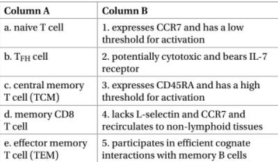 Column A
Column B
1. expresses CCR7 and has a low
threshold for activation
a. naive T cell
b. Трн сеll
2. potentially cytotoxic and bears IL-7
receptor
c. central memory
Тcell (TCM)
3. expresses CD45RA and has a high
threshold for activation
d. memory CD8
T cell
e. effector memory
Тcell (TEM)
4. lacks L-selectin and CCR7 and
recirculates to non-lymphoid tissues
5. participates in efficient cognate
interactions with memory B cells
