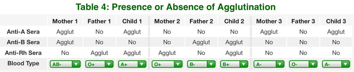 Table 4: Presence or Absence of Agglutination
Mother 1
Father 1
Child 1
Mother 2
Father 2
Child 2
Mother 3
Father 3
Child 3
Anti-A Sera
Agglut
No
Agglut
No
No
No
Agglut
No
Agglut
Anti-B Sera
Agglut
No
No
No
Agglut
Agglut
No
No
No
Anti-Rh Sera
No
Agglut
Agglut
Agglut
No
Agglut
No
No
No
Blood Type
AB-
O+
A+
O+
B-
B+
А-
O-
А-
