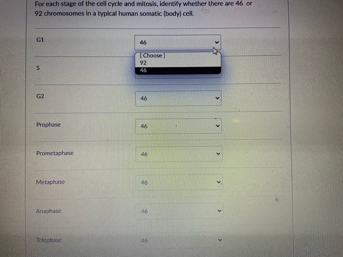 For each stage of the cell cycle and mitosis, identify whether there are 46 or
92 chromosomes in a typical human somatic (body) cell.
G1
46
[Choose]
92
46
G2
46
Prophase
46
Prometaphase
46
Metaphase
46
Anaphase
46
Telophase
46
