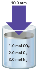 10.0 atm
1.0 mol CO,
2.0 mol 02
3.0 mol N2
