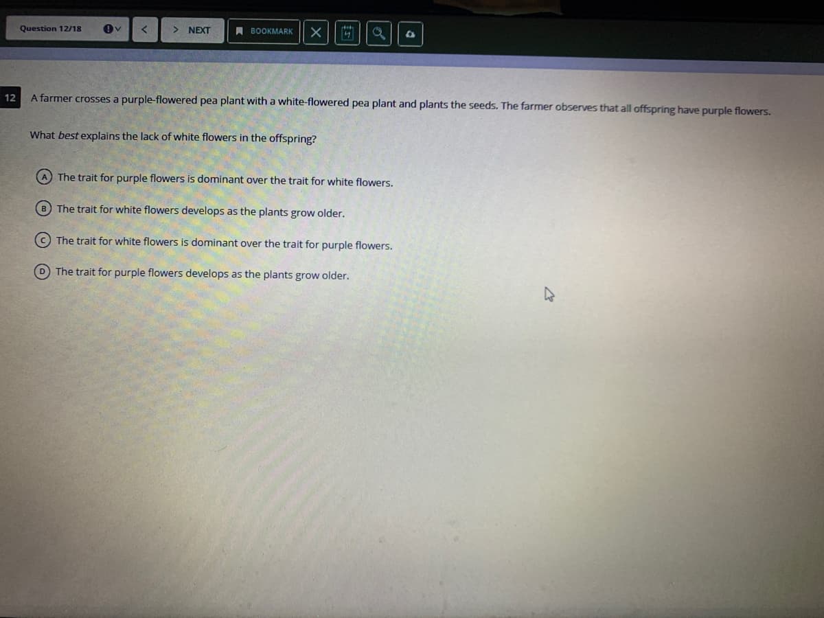 Question 12/18
> NEXT
A BOOKMARK
12
A farmer crosses a purple-flowered pea plant with a white-flowered pea plant and plants the seeds. The farmer observes that all offspring have purple flowers.
What best explains the lack of white flowers in the offspring?
The trait for purple flowers is dominant over the trait for white flowers.
B The trait for white flowers develops as the plants grow older.
C The trait for white flowers is dominant over the trait for purple flowers.
D The trait for purple flowers develops as the plants grow older.
