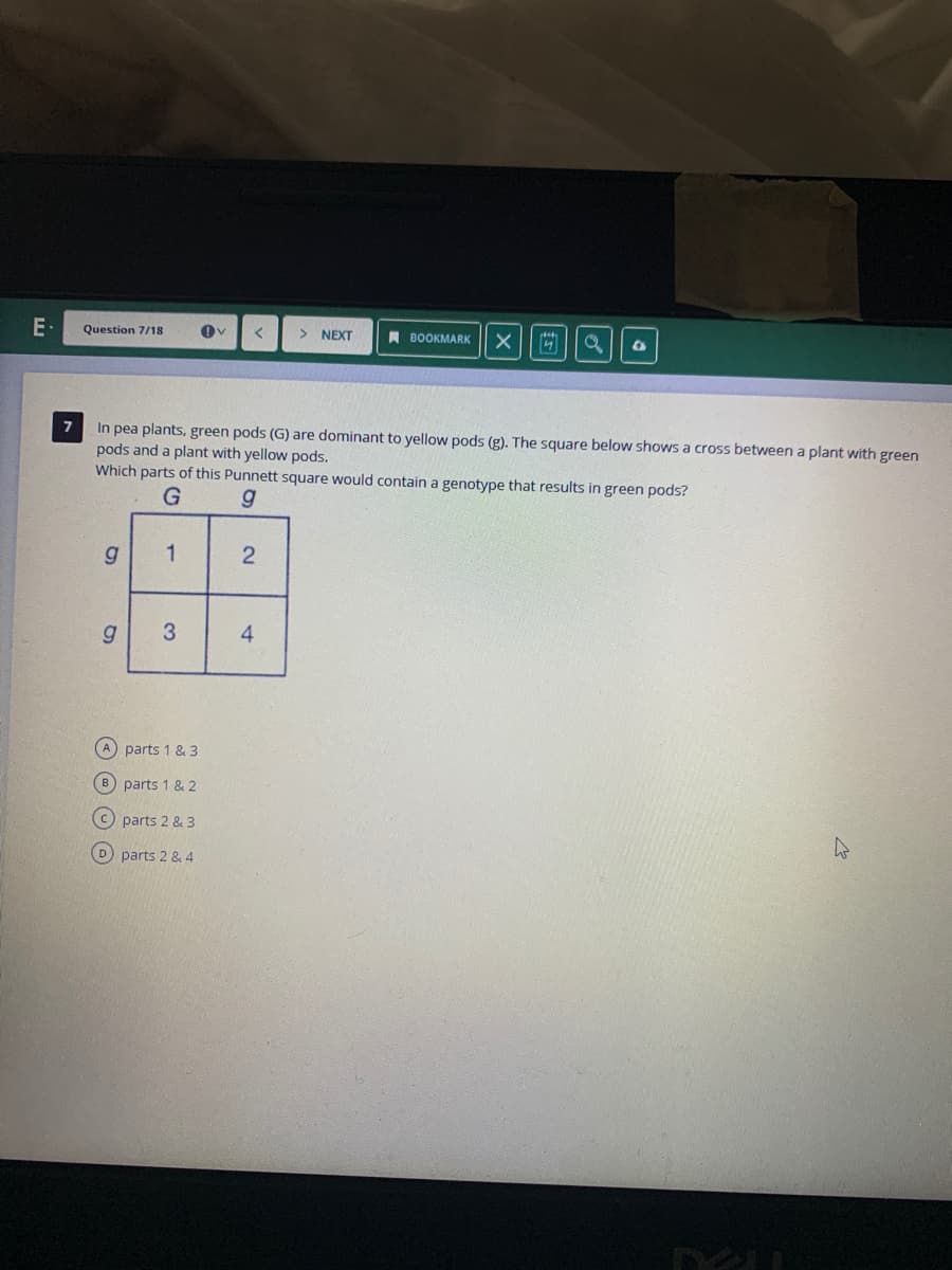 E-
Question 7/18
> NEXT
A BOOKMARK
7
In pea plants, green pods (G) are dominant to yellow pods (g). The square below shows a cross between a plant with green
pods and a plant with yellow pods.
Which parts of this Punnett square would contain a genotype that results in green pods?
g
1
3
A parts 1 & 3
B parts 1 & 2
C parts 2 & 3
D parts 2 & 4
2.
4-
