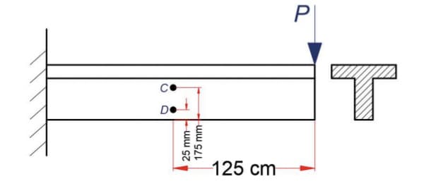 25 mm
175 mm
125 cm
O
O
T
P