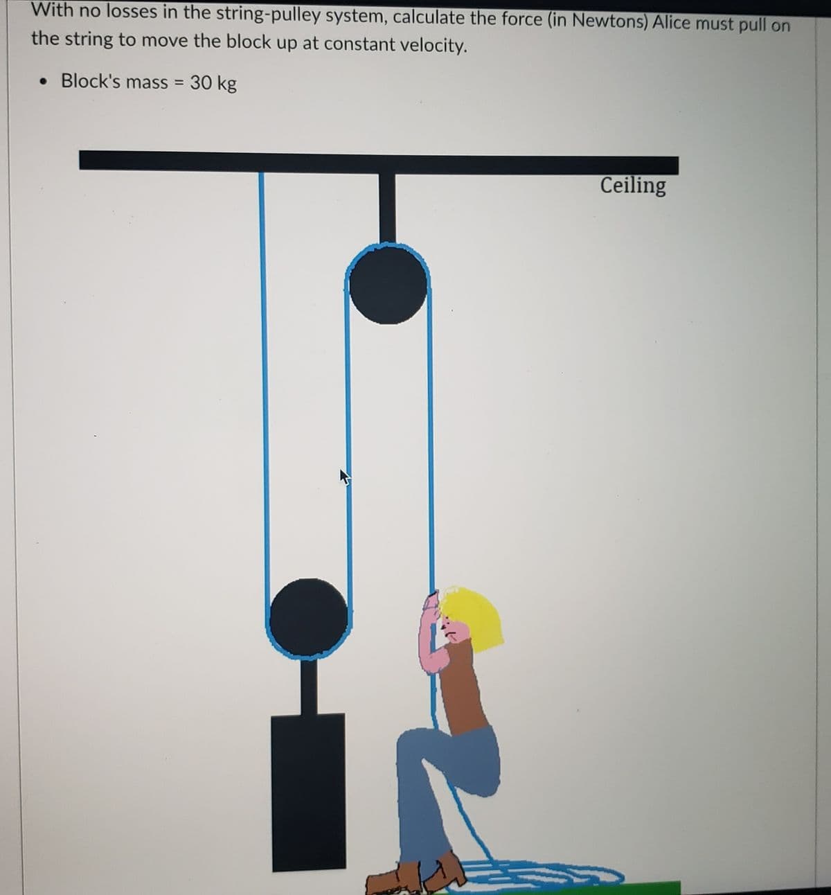 With no losses in the string-pulley system, calculate the force (in Newtons) Alice must pull on
the string to move the block up at constant velocity.
• Block's mass = 30 kg
%3D
Ceiling
