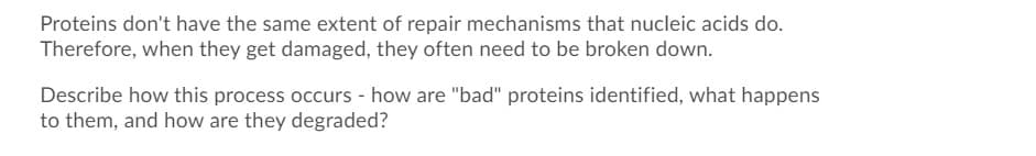 Proteins don't have the same extent of repair mechanisms that nucleic acids do.
Therefore, when they get damaged, they often need to be broken down.
Describe how this process occurs - how are "bad" proteins identified, what happens
to them, and how are they degraded?
