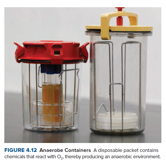 FIGURE 4.12 Anaerobe Containers A disposable packet contains
chemicals that react with O, thereby producing an anaerobic environment.
