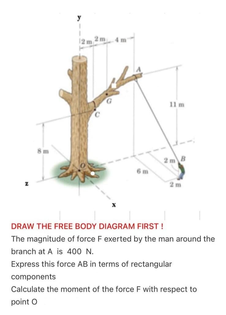 y
2 m
4 m
12m
11 m
8 m
2 m B
6 m
2 m
DRAW THE FREE BODY DIAGRAM FIRST !
The magnitude of force F exerted by the man around the
branch at A is 400 N.
Express this force AB in terms of rectangular
components
Calculate the moment of the force F with respect to
point O
