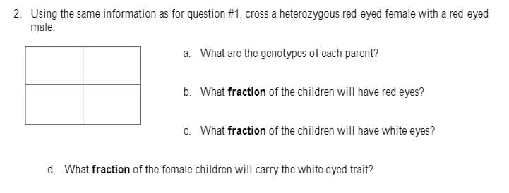 2. Using the same information as for question #1, cross a heterozygous red-eyed female with a red-eyed
male.
a. What are the genotypes of each parent?
b. What fraction of the children will have red eyes?
c. What fraction of the children will have white eyes?
d. What fraction of the female children will carry the white eyed trait?
