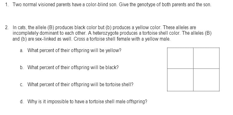 1. Two normal visioned parents have a color-blind son. Give the genotype of both parents and the son.
2. In cats, the allele (B) produces black color but (b) produces a yellow color. These alleles are
incompletely dominant to each other. A heterozygote produces a tortoise shell color. The alleles (B)
and (b) are sex-linked as well. Cross a tortoise shell female with a yellow male.
a. What percent of their offspring will be yellow?
b. What percent of their offspring will be black?
c. What percent of their offspring will be tortoise shell?
d. Why is it impossible to have a tortoise shell male offspring?
