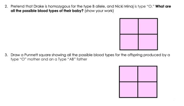 2. Pretend that Drake is homozygous for the type B allele, and Nicki Minaj is type "O." What are
all the possible blood types of their baby? (show your work)
3. Draw a Punnett square showing all the possible blood types for the offspring produced by a
type "O" mother and an a Type "AB" father

