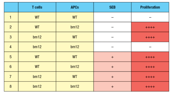 I cells
APCS
SEB
Proliferation
1
WT
WT
2
WT
bm12
++++
3
bm12
WT
++++
4
bm12
bm12
WT
WT
++++
WT
bm12
++++
7
bm12
WT
++++
8
bm12
bm12
++++
+

