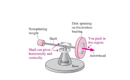 Disk spinning
on frictionless
bearing
Nonspinning
weight
Shaft
You push in
this region.
Shaft can pivot
horizontally and
vertically.
Arrowhead
Stand
Base
