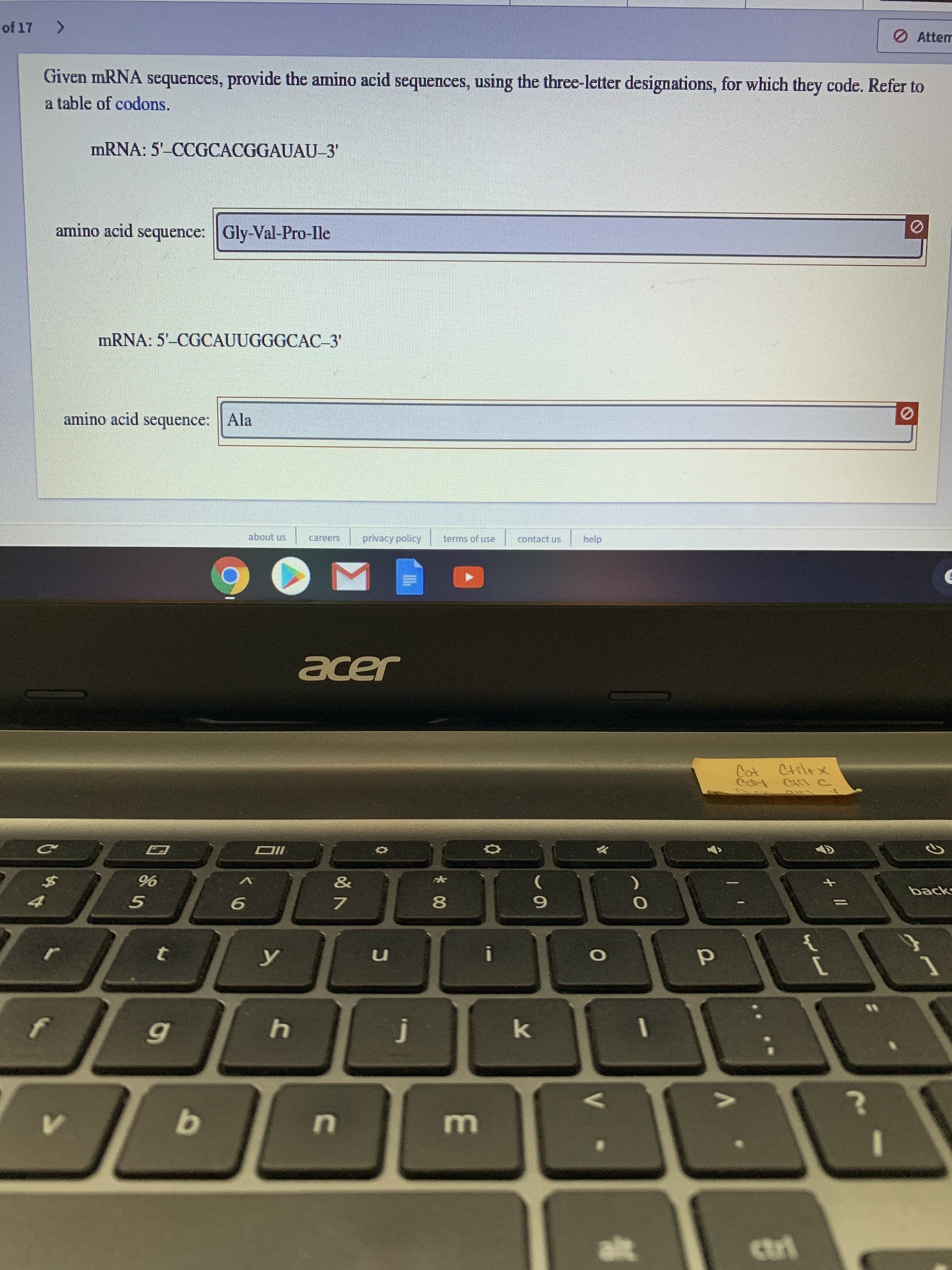 of 17
<.
O Attem
Given mRNA
sequences, provide the amino acid sequences, using the three-letter designations, for which they code. Refer to
a table of codons.
MRNA: 5'-CCGCACGGAUAU-3'
amino acid sequence: Gly-Val-Pro-lle
MRNA: 5'-CGCAUUGGGCAC_3
amino acid sequence: | Ala
sn anoge
careers
privacy policy
terms of use
contact us
help
acer
Cot Ctilex
$2
&
backs
8.
i
k
alt
ctri
//
く6
4
