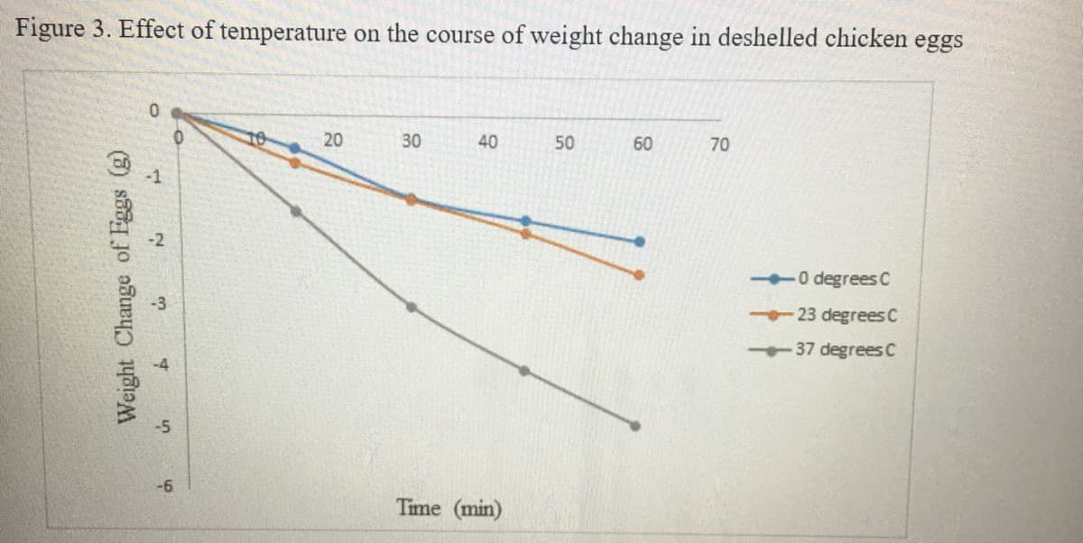 Figure 3. Effect of temperature on the course of weight change in deshelled chicken eggs
20
30
40
50
60
70
-1
0 degrees C
23 degrees C
37 degrees C
-6
Time (min)
Weight Change of Eggs (g)
