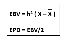 EBV = h? ( X-X)
EPD = EBV/2
