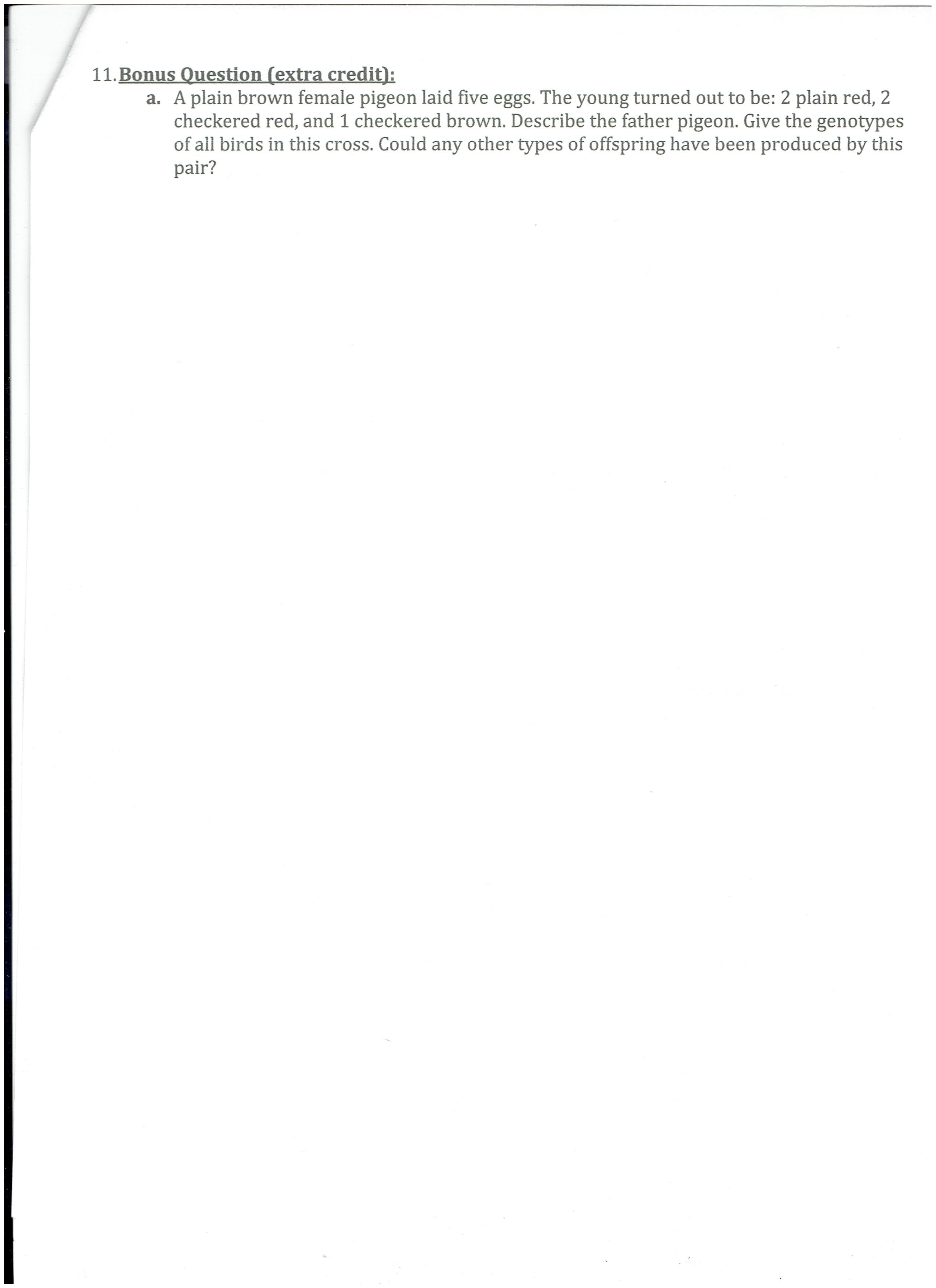 11.Bonus Question (extra credit):
a. A plain brown female pigeon laid five eggs. The young turned out to be: 2 plain red, 2
checkered red, and 1 checkered brown. Describe the father pigeon. Give the genotypes
of all birds in this cross. Could any other types of offspring have been produced by this
pair?

