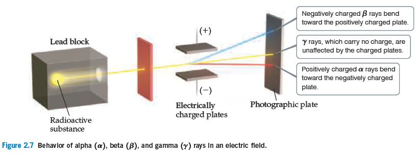 Negatively charged B rays bend
toward the positively charged plate.
(+)
Lead block
y rays, which carry no charge, are
unaffected by the charged plates.
Positively charged a rays bend
toward the negatively charged
plate.
|(-)
Photographic plate
Electrically
charged plates
Radioactive
substance
Figure 2.7 Behavior of alpha (a), beta (B), and gamma (y) rays in an electric fleld.
