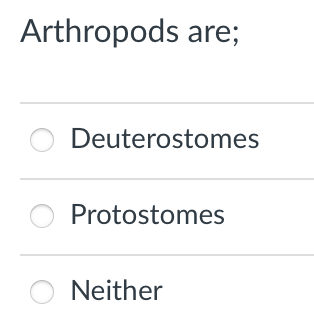 Arthropods are;
O Deuterostomes
O Protostomes
Neither

