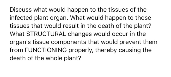 Discuss what would happen to the tissues of the
infected plant organ. What would happen to those
tissues that would result in the death of the plant?
What STRUCTURAL changes would occur in the
organ's tissue components that would prevent them
from FUNCTIONING properly, thereby causing the
death of the whole plant?
