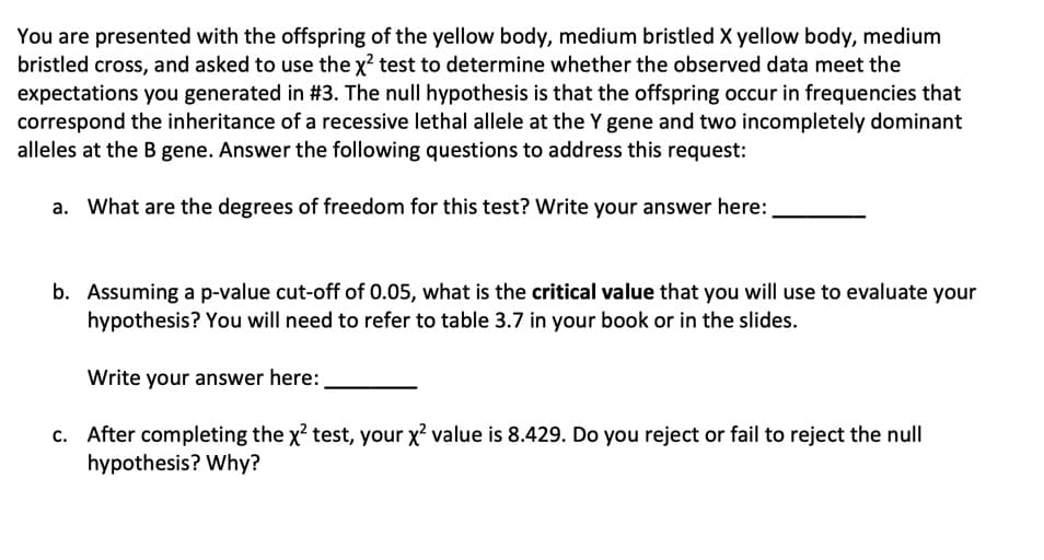 You are presented with the offspring of the yellow body, medium bristled X yellow body, medium
bristled cross, and asked to use the x² test to determine whether the observed data meet the
expectations you generated in #3. The null hypothesis is that the offspring occur in frequencies that
correspond the inheritance of a recessive lethal allele at the Y gene and two incompletely dominant
alleles at the B gene. Answer the following questions to address this request:
a. What are the degrees of freedom for this test? Write your answer here:
b. Assuming a p-value cut-off of 0.05, what is the critical value that you will use to evaluate your
hypothesis? You will need to refer to table 3.7 in your book or in the slides.
Write your answer here:
c. After completing the x? test, your x2 value is 8.429. Do you reject or fail to reject the null
hypothesis? Why?
