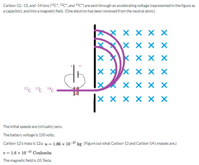 Carbon-12, -13, and -14 ions (12C*, 1°C*, and 24C*) are sent through an accelerating voltage (represented in the figure as
a capacitor), and into a magnetic field. (One electron has been removed from the neutral atom.)
хх
хх
хххх
12c 1°c 1%C
хххх
хх
The initial speeds are (virtually) zero.
The battery voltage is 150 volts.
Carbon-12's mass is 12u: u = 1.66 × 10-27 kg (Figure out what Carbon-13 and Carbon-14's masses are.)
e = 1.6 x 10-19 Coulombs
The magnetic field is .05 Tesla.
