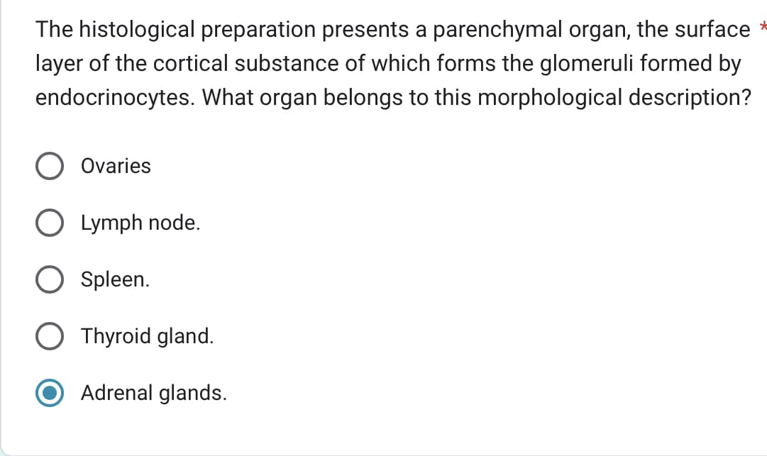 The histological preparation presents a parenchymal organ, the surface *
layer of the cortical substance of which forms the glomeruli formed by
endocrinocytes. What organ belongs to this morphological description?
Ovaries
O Lymph node.
O Spleen.
O Thyroid gland.
Adrenal glands.