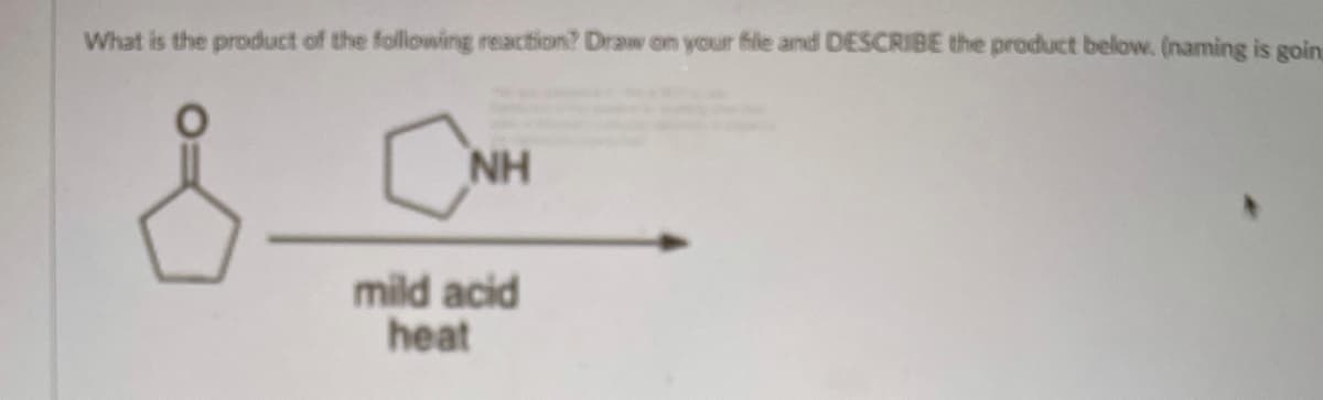 What is the product of the following reaction? Draw on your file and DESCRIBE the product below. (naming is goin
8.
NH
mild acid
heat
