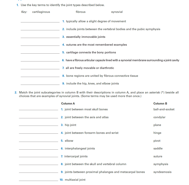 1. Use the key terms to identify the joint types described below.
Key: cartilaginous
fibrous
synovial
1. typically allow a slight degree of movement
2. include joints between the vertebral bodies and the pubic symphysis
3. essentially immovable joints
4. sutures are the most remembered examples
5. cartilage connects the bony portions
6. have a fibrous articular capsule lined with a synovial membrane surrounding a joint cavity
7. all are freely movable or diarthrotic
8. bone regions are united by fibrous connective tissue
9. include the hip, knee, and elbow joints
2. Match the joint subcategories in column B with their descriptions in column A, and place an asterisk (*) beside all
choices that are examples of synovial joints. (Some terms may be used more than once.)
Column A
Column B
1. joint between most skull bones
ball-and-socket
2. joint between the axis and atlas
condylar
3. hip joint
plane
4. joint between forearm bones and wrist
hinge
5. elbow
pivot
6. interphalangeal joints
saddle
7. intercarpal joints
suture
8. joint between the skull and vertebral column
symphysis
9. joints between proximal phalanges and metacarpal bones
syndesmosis
10. multiaxial joint
