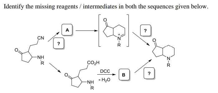 Identify the missing reagents / intermediates in both the sequences given below.
A
?
CN
-NH
R
CO2H
DCC
B
?
- H20
-NH
R
Z-R
