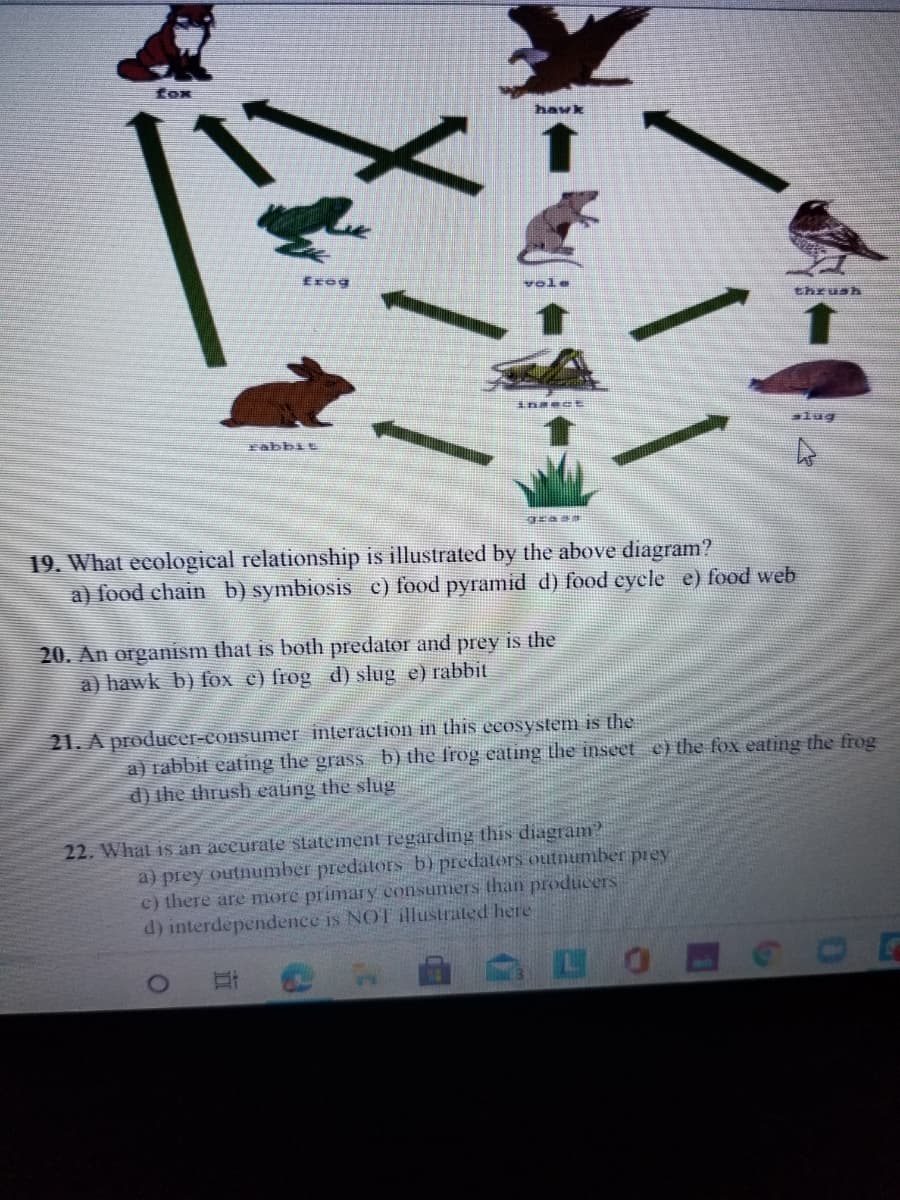 Kox
havk
Erog
vo.
thrush
glug
zabbit
19. What ecological relationship is illustrated by the above diagram?
a) food chain b) symbiosis c) food pyramid d) food cycle e) food web
20. An organism that is both predator and prey is the
a) hawk b) fox c) frog d) slug e) rabbit
21. A producer-consumer interaction in this ceosystem is the
a) rabbit eating the grass b) the frog eating the inseet e) the fox eating the frog
d) the thrush eating the slug
22. What is an accurate statement fegarding this diagram?
a) prey outnumber predators b) predators outnumber prey
c) there are more primary consumers than produceTS
d) interdependence is NOT illustrated here
