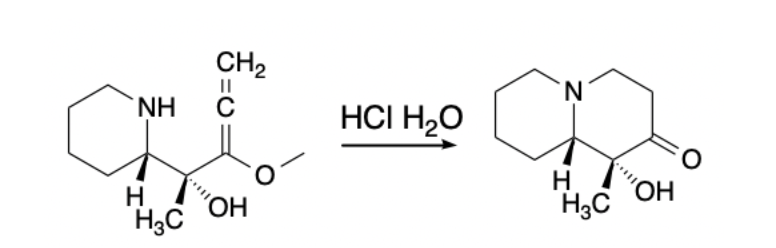 CH2
II
NH.
N.
HCI H2O
H
H3C
HO,
H3C
